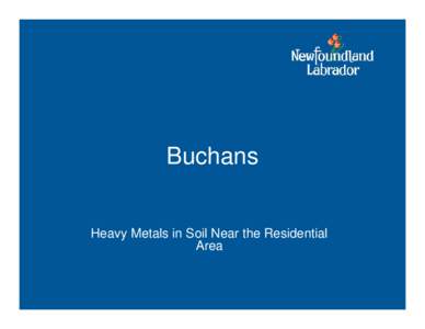 Microsoft PowerPoint - Buchans Town Presentation.ppt