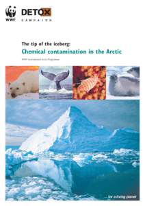 The tip of the iceberg:  Chemical contamination in the Arctic WWF International Arctic Programme  for a living planet