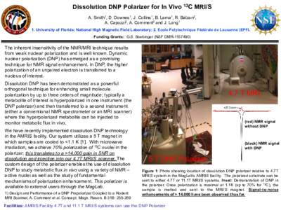 Dissolution DNP Polarizer for In Vivo 13C MRI/S