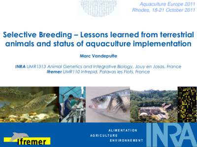 Aquaculture Europe 2011 Rhodes, 18-21 October 2011 Selective Breeding – Lessons learned from terrestrial animals and status of aquaculture implementation Marc Vandeputte