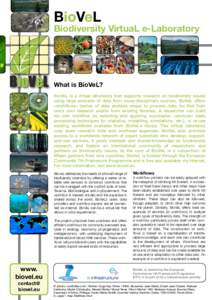 BioVeL  Biodiversity VirtuaL e-Laboratory What is BioVeL? BioVeL is a virtual laboratory that supports research on biodiversity issues