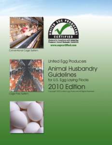 Eggs / Animal welfare / Zoology / Animal cruelty / Chicken / Debeaking / United Egg Producers / Feather pecking / Free-range eggs / Poultry farming / Food and drink / Agriculture