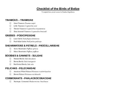 Checklist of the Birds of Belize *Complied from several sources by Paradise Expeditions TINAMOUS – TINAMIDAE 