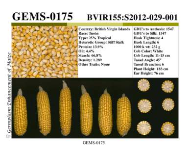 Germplasm Enhancement of Maize  GEMS-0175 BVIR155:S2012Country: British Virgin Islands