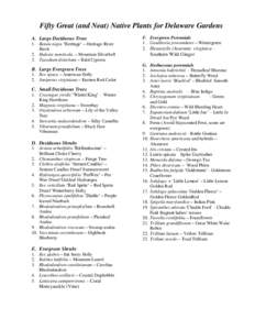 Medicinal plants / Plant morphology / Shrub / Rhododendron prunifolium / Holly / Evergreen / Rhododendron / Viburnum / University of Delaware Botanic Gardens / Biology / Plants / Botany