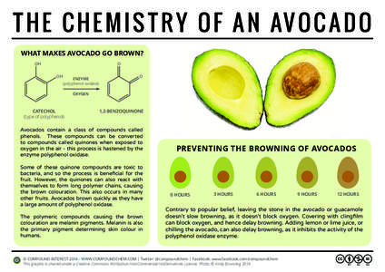 T H E C H E M I S T R Y O F A N AV O C A D O WHAT MAKES AVOCADO GO BROWN? OH O OH