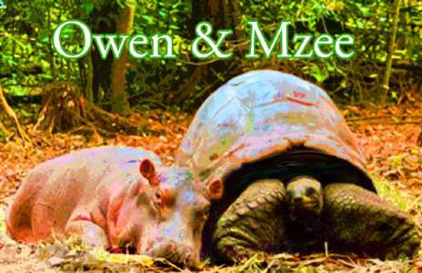 Owen & Mzee Written by isabella Hatkoff & Craig Hatkoff and Dr. Paula Kahumbu Help and editing by juliana Hatkoff Photographs by Peter Greste IIlustrations by Joshua Scott