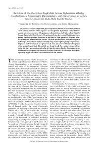 Copeia, 2004(1), pp. 98–107  Revision of the Deep-Sea Anglerfish Genus Bufoceratias Whitley