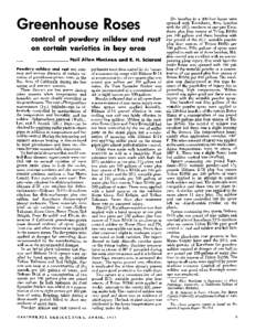 Six benches in a 200-foot house were sprayed with Karathane, three benches with the 25% emulsion at one pint Karathane plus four ounces of Triton B1956 per 100 gallons and three benches with one pound of the 25% wettable