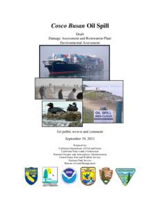 Cosco Busan Oil Spill Draft Damage Assessment and Restoration Plan