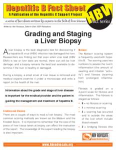 Hepatitis B Fact Sheet A Publication of the Hepatitis C Support Project a series of fact sheets written by experts in the field of liver disease Written by: Alan Franciscus, Editor-in-Chief, HCSP Publications