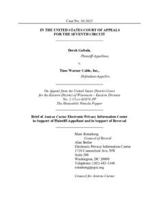 Case NoIN THE UNITED STATES COURT OF APPEALS FOR THE SEVENTH CIRCUIT
