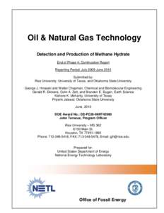 Oil & Natural Gas Technology Detection and Production of Methane Hydrate End of Phase 4; Continuation Report Reporting Period: July 2009-June 2010 Submitted by: Rice University, University of Texas, and Oklahoma State Un