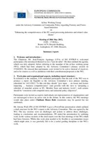 EUROPEAN COMMISSION ENTERPRISE AND INDUSTRY DIRECTORATE-GENERAL Resources Based, Manufacturing and Consumer Goods Industries Raw Materials, Metals, Minerals and Forest-based Industries  Ad hoc Working Group