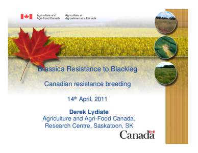 Brassica Resistance to Blackleg Canadian resistance breeding 14th April, 2011 Derek Lydiate Agriculture and Agri-Food Canada, Research Centre, Saskatoon, SK