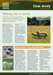 Case study Autumn 2010 Walking free of footrot Lameness can be time consuming to treat on a case-by-case basis, but a new