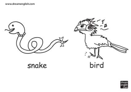 www.dreamenglish.com  snake bird dream