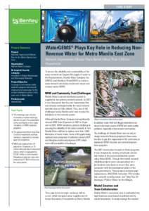 Case Study  Project Summary Project: Network Improvement Master Plan for the Metro Manila East