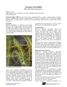 Eurasian watermilfoil Myriophyllum spicatum L. Synonyms: None Other common names: myriophylle en epi, spike watermilfoil, spiked watermilfoil Family: Haloragaceae Invasiveness Rank: 90 The invasiveness rank is calculated