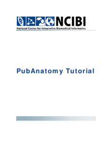 PubAnatomy Tutorial  © 2010 The University of Michigan This work is supported by the National Center for Integrative Biomedical Informatics through NIH Grant# 1U54DA021519-01A1