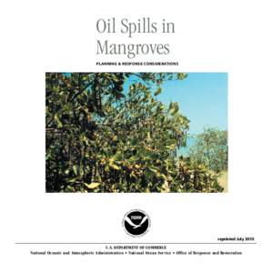 Oil Spills in Mangroves C NI