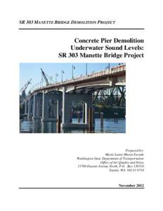Manette Bridge Pier Demolition Project