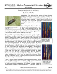 Rednecked Cane Borer, Agrilus ruficollis (F.) By Douglas G. Pfeiffer Introduction: This buprestid beetle infests wild and cultivated blackberries and raspberries in the eastern states from Canada to the Gulf of Mexico. A