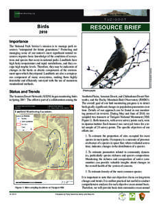southwestlearning.org  tuzigoot Birds