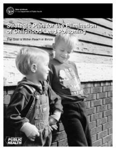 Strategic Plan for the Elimination of Childhood Lead Poisoning The Goal is Within Reach in Illinois  Illinois Department of Public Health