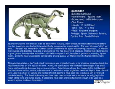 Iguanodon Iguanodon anglicus •Name means: “Iguana tooth” •Pronounced: i-GWAHN-o-don •Diet: Plants •Length: 10 m (33 feet)