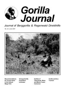 Africa / Kahuzi-Biéga National Park / Mountain gorilla / Virunga National Park / Institut Congolais pour la Conservation de la Nature / Eastern gorilla / Western gorilla / Mount Kahuzi / Eastern lowland gorilla / Gorillas / Fauna of Africa / Zoology