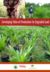 Developing Palm-oil Production On Degraded Land