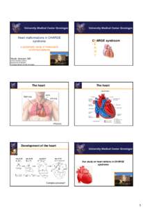 Heart malformations in CHARGE syndrome a systematic study in molecularly confirmed patients  CHARGE syndroom