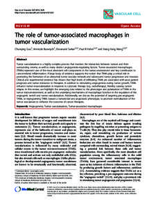 Oncology / Vascular endothelial growth factor / Angiogenesis / The Hallmarks of Cancer / Macrophage / Metastatic breast cancer / Glioma / Wound healing / Hypoxia-inducible factors / Medicine / Biology / Angiology