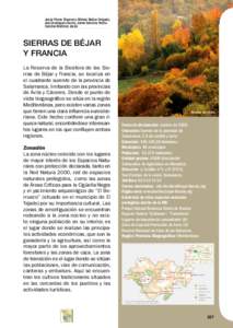 mapa_Bejar_Francia_trazado