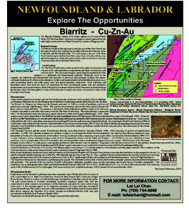 Ore / Gold / Baie Verte / Economic geology / Matter / Chemistry