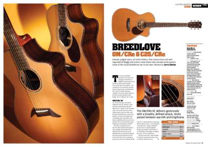 electro-acoustic  £1500 review breedlove