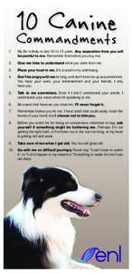 Canine Commandments