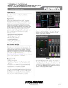 TRIPLEPLAY TUTORIALS  MODULE #4: CUSTOMIZING SOUNDS AND PATCHES WITHIN TRIPLEPLAY’S PARAMETERS PANEL  www.fishman.com