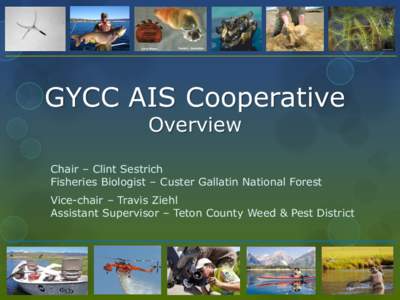 GYCC AIS Cooperative Overview Chair – Clint Sestrich Fisheries Biologist – Custer Gallatin National Forest Vice-chair – Travis Ziehl