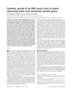 Systemic spread of an RNA insect virus in plants expressing plant viral movement protein genes Ranjit Dasgupta*, Bradley H. Garcia II, and Robert M. Goodman† Department of Plant Pathology, University of Wisconsin, 1630