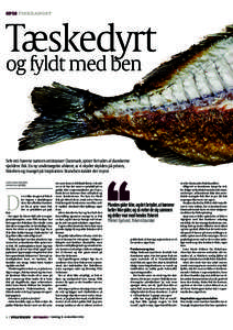 Spis fiskeangst  Tæskedyrt og fyldt med ben  Selv om havene næsten omkranser Danmark, spiser flertallet af danskerne