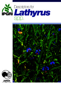 Descriptors for  Lathyrus spp.