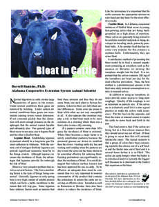 Bloat in Cattle Darrell Rankins, Ph.D. Alabama Cooperative Extension System Animal Scientist ormal digestion in cattle creates large quantities of gases in the rumen. Under normal conditions these gases are