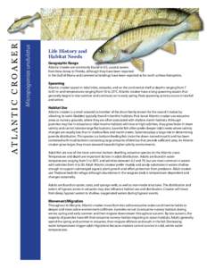 Micropogonias undulatus  ATLANTIC CROAKER Life History and Habitat Needs