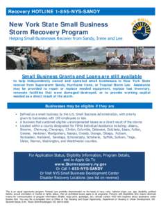 Recovery HOTLINE[removed]NYS-SANDY  New York State Small Business Storm Recovery Program  Helping Small Businesses Recover from Sandy, Irene and Lee