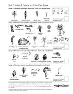 Caddisfly / Larva / Fly / Water-penny beetles / Worm / Biotic index / Orders of insects / Zoology / Biology