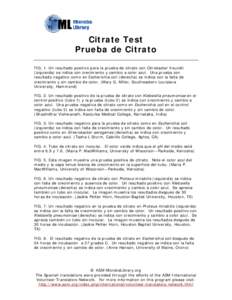 Microsoft Word - citrate_test_spanish.doc