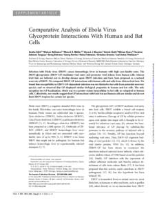 SUPPLEMENT ARTICLE  Comparative Analysis of Ebola Virus Glycoprotein Interactions With Human and Bat Cells Annika Ku¨hl,1,a Markus Hoffmann,2,a Marcel A. Mu¨ller,3,a Vincent J. Munster,4 Kerstin Gnirß,1 Miriam Kiene,1