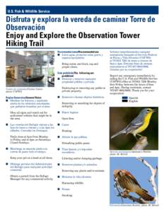 U.S. Fish & Wildlife Service  Disfruta y explora la vereda de caminar Torre de Observación Enjoy and Explore the Observation Tower Hiking Trail